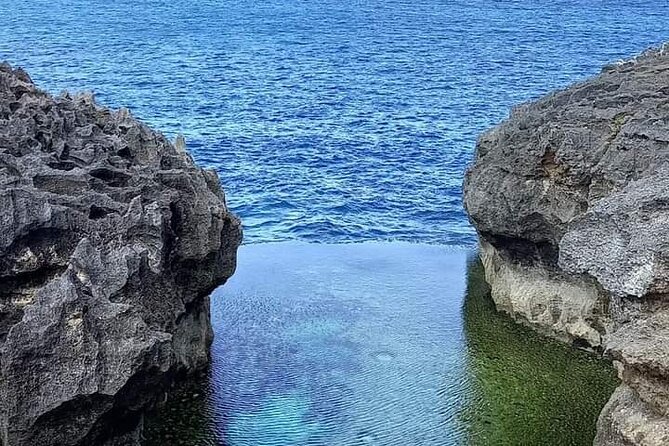 Best Seller West Nusa Penida Island Private Guided Tour - Price and value: what $39.51 per person really buys