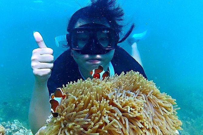Bintan Snorkeling Tour - Kayaking and Fun Fishing: How You Fill the Gaps Between Swims