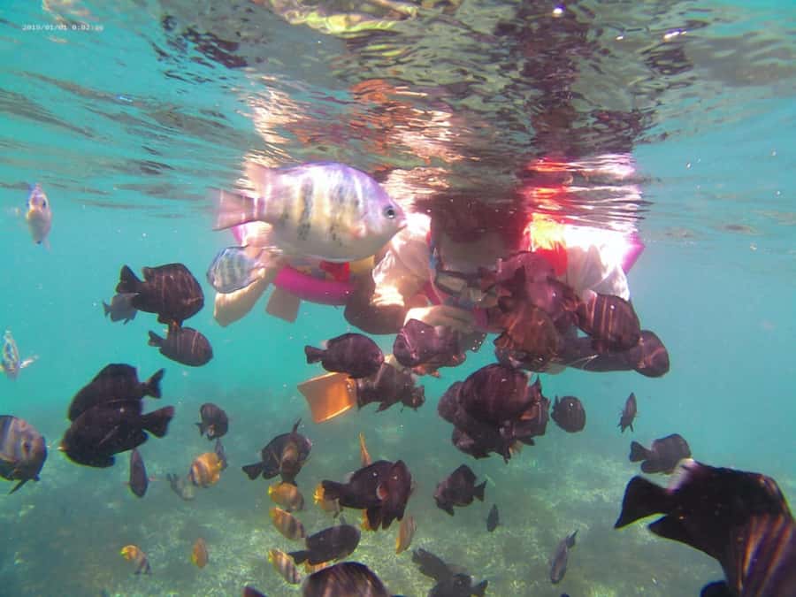 Blue Lagoon and Tanjung Jepun Snorkeling Tour - Tanjung Jepun: the easy first step into reef snorkeling