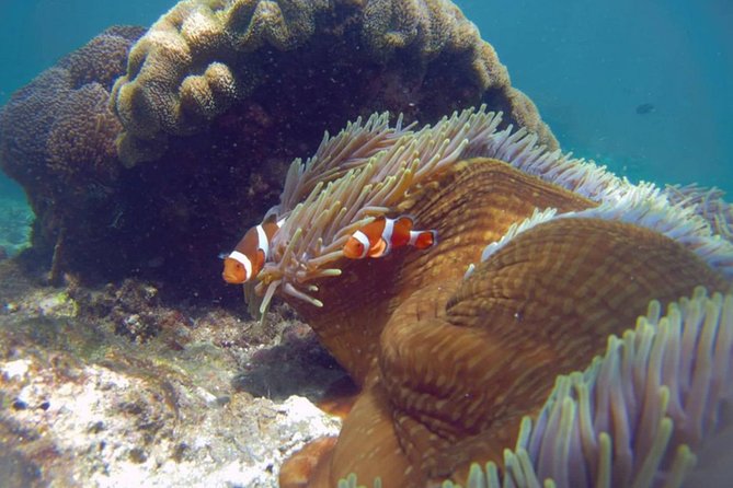 Blue Lagoon Bali Snorkeling Experience - Package add-ons: Gate of Heaven, Ubud sights, or waterfalls