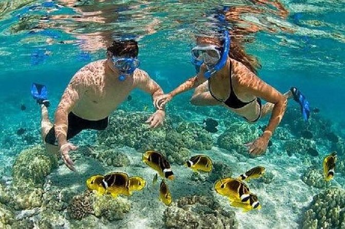 Blue Lagoon Snorkeling and Lunch - Kanto Lampo - Suwat Waterfall - All inclusive - Price and value: what $48 buys in a full day plan