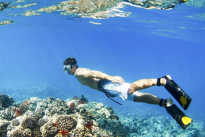 Blue Lagoon Snorkeling and Lunch with Private Transfer - How Long the Day Feels: Timing, Weather, and Route Realities