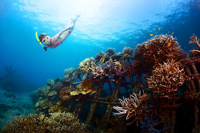 Blue Lagoon Snorkeling and Uluwatu Sunset Tour - Blue Lagoon Snorkeling: The Part You Will Talk About Later