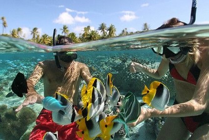 Blue Lagoon Snorkeling - Lunch - Kantolampo - Tibumana Waterfall - Your Driver and Snorkeling Instructor Are the Real Tour