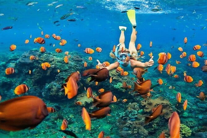 Blue Lagoon Snorkeling with Lunch and Private Transport - Snorkeling gear, lunch, and how to use a short outing well
