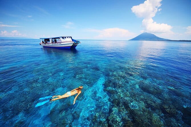 Blue Lagoon Snorkeling with Lunch and Private Transport - Wildlife checklist: what to look for at Blue Lagoon vs Tanjung Jepun