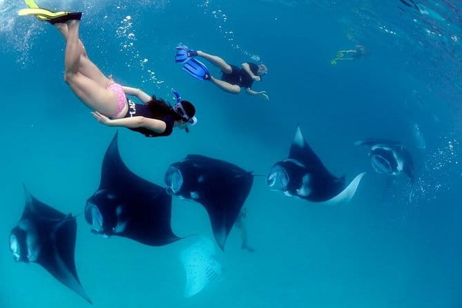 Blue Lagoon Snorkeling with Lunch and Private Transport - Price, value, and why $60 can make sense for a private 2-hour reef run