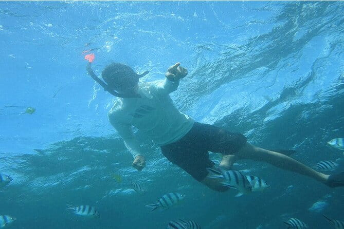 Blue Lagoon Snorkeling with Lunch and Private Transport - Stop 1: Blue Lagoon snorkeling and the fish you’ll likely spot fast