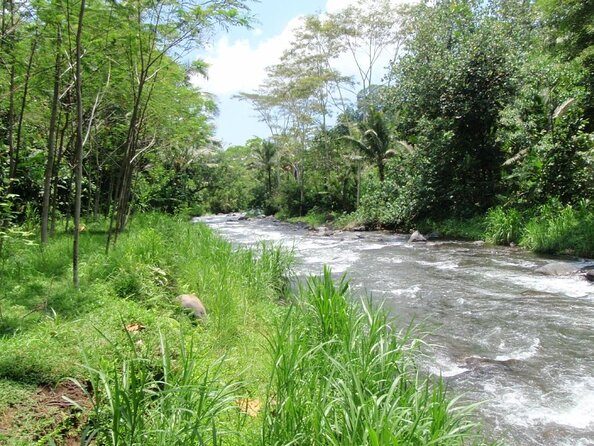 BMW Bali Rafting + Flying Fox at Telaga Waja River (LESS STAIRS) - Why Telaga Waja Feels Like Real Bali, Not Just an Activity