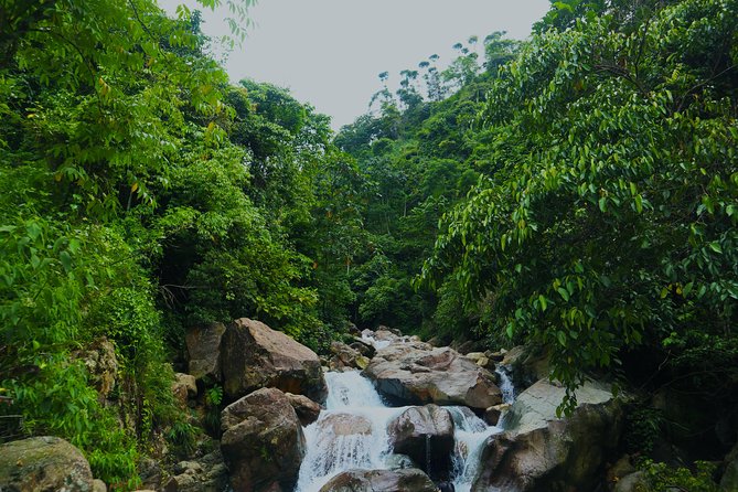 Bogor Botanical Garden & Rainforest Trekking to Hidden Waterfall - Leaving Jakarta Behind, and What the Morning Feels Like