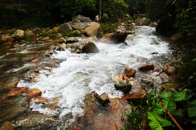 Bogor Botanical Garden & Rainforest Trekking to Hidden Waterfall - Cikaracak Waterfall: The 40-Meter Payoff and How to Enjoy It Safely