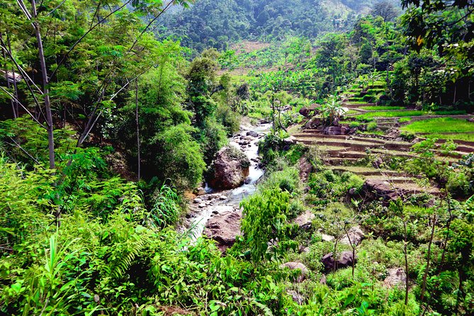 Bogor Botanical Garden & Rainforest Trekking to Hidden Waterfall - Rice Fields, Villages, and Everyday Indonesia You Can See Up Close