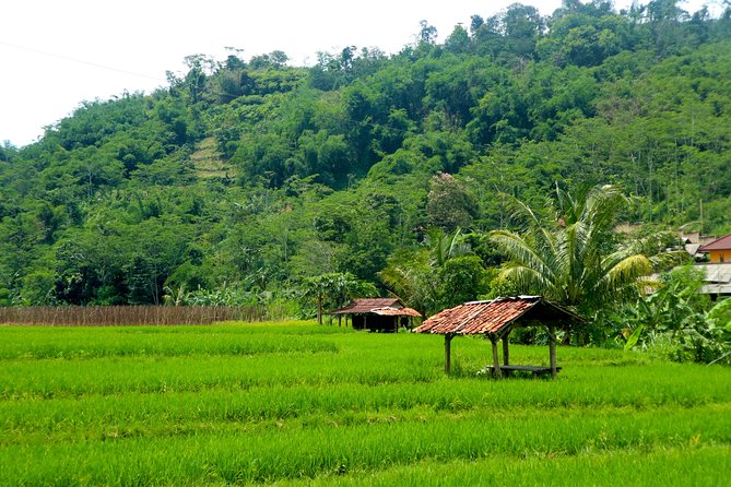Bogor Botanical Garden & Rainforest Trekking to Hidden Waterfall - Lunch and Bottled Water: Why This Included Break Matters