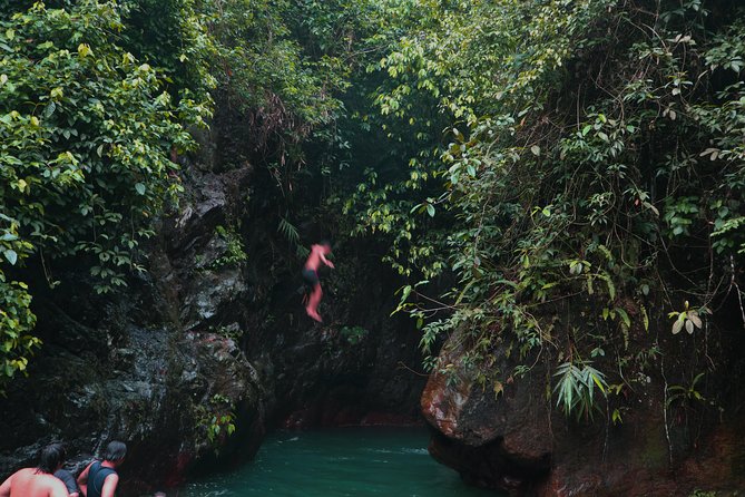 Bogor Botanical Garden & Rainforest Trekking to Hidden Waterfall - Guides and Drivers: The Human Difference on a Private Day Trip