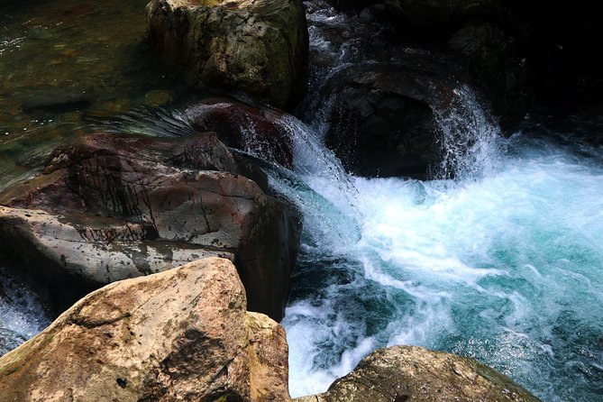 Bogor Botanical Garden & Rainforest Trekking to Hidden Waterfall - Timing, Pace, and What You Should Pack