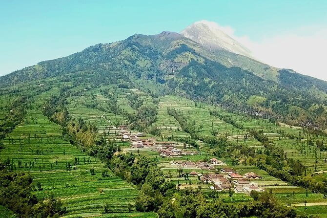 Borobudur Climb Up and Selogriyo Temple Rice Terraces Trekking - Price and Value: Is $95 Worth It Here?