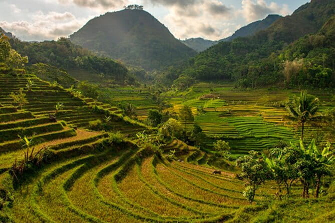 Borobudur Climb Up and Selogriyo Temple Rice Terraces Trekking - Should You Book It?