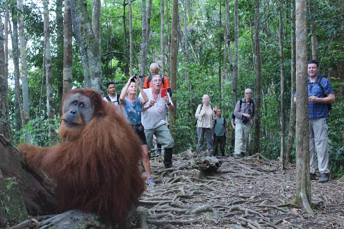 Bukit Lawang Full Day Jungle Trek - What to pack (and wear) for bugs, rain, and hot air