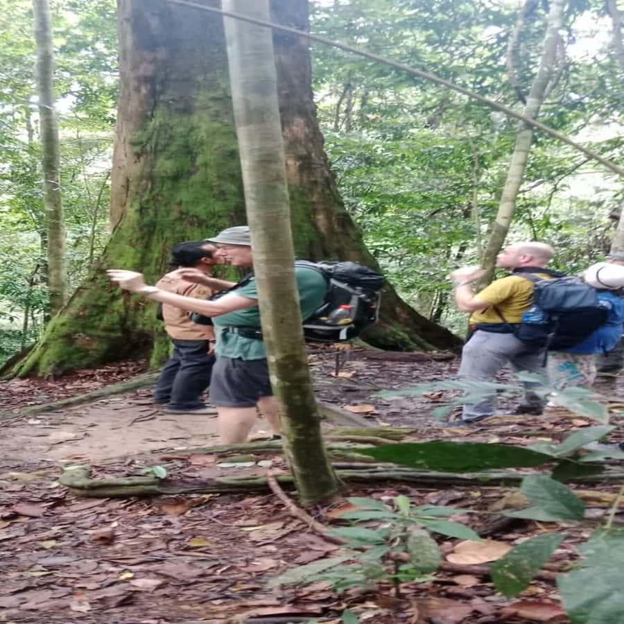 Bukit Lawang: Orangutan Tour & Wonderful Jungle View - The day’s flow: Medan pickup, jungle entry, and the return by river
