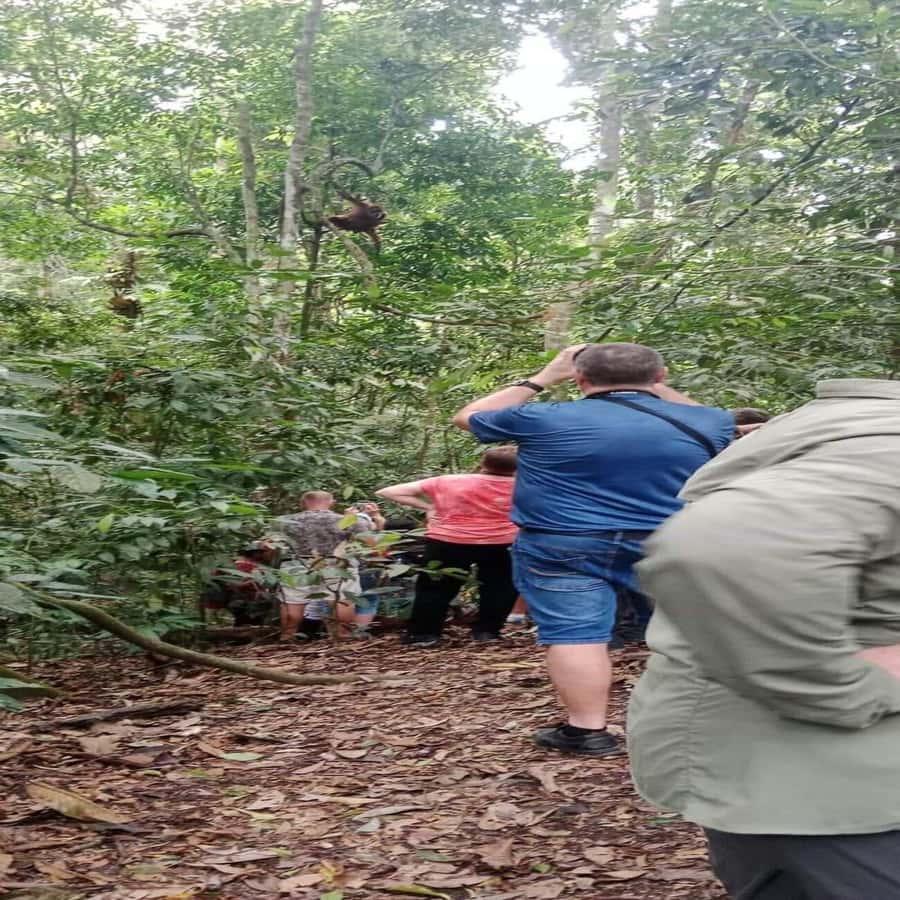 Bukit Lawang: Orangutan Tour & Wonderful Jungle View - Guide quality: when the name matters
