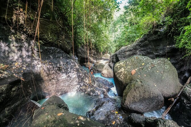 Canyoning Bali, Blue Gorge Canyon (Adventure, discovery, nature) - What You Actually Do in the Gorge: Swimming, Slides, Jumps, and Rappels