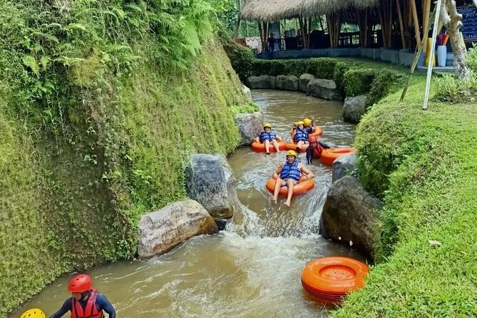 Cave Tubing Adventure & Rice terrace - Stop 1 in practice: Tegalalang rice terraces, swing add-ons, and photo angles