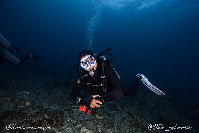 Certified Scuba Dive with Manta Rays (Open Water Diver minimum) - Your day on the water: 8:30 meeting, back around 2:00