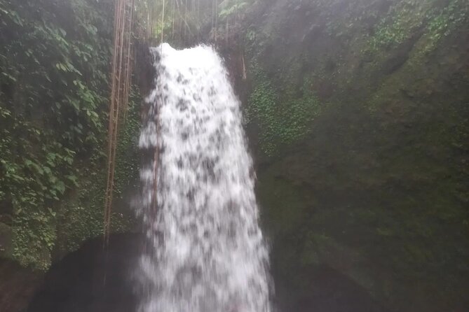 CRETYA Ubud infinity Pool + Hidden Water fall + Water Temple Tour - Mas Carving Center: short, solid craft time in Ubud style