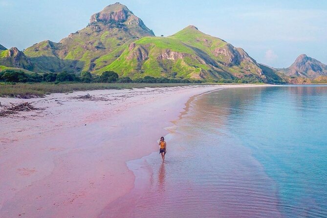 Daily Trip Highlight Komodo Archipelago by Speed Boat - Komodo Island trek: ranger guidance and real dragon time