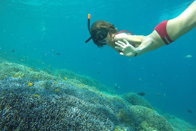 Day Trip Gili Trawangan, Gili Meno, Gili Air (Depart Lombok) - Why This Gili Islands Day Trip Feels Like a Mini World Tour