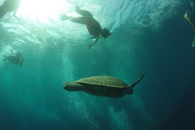 Day Trip Gili Trawangan, Gili Meno, Gili Air (Depart Lombok) - Price and Logistics: Is $97 Good Value for What You Get?