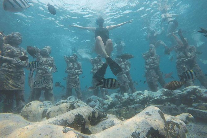Day Trip Gili Trawangan, Gili Meno, Gili Air (Depart Lombok) - Gili Air at Fish Garden: A Fast Snorkel With Big “Start Smiling” Potential