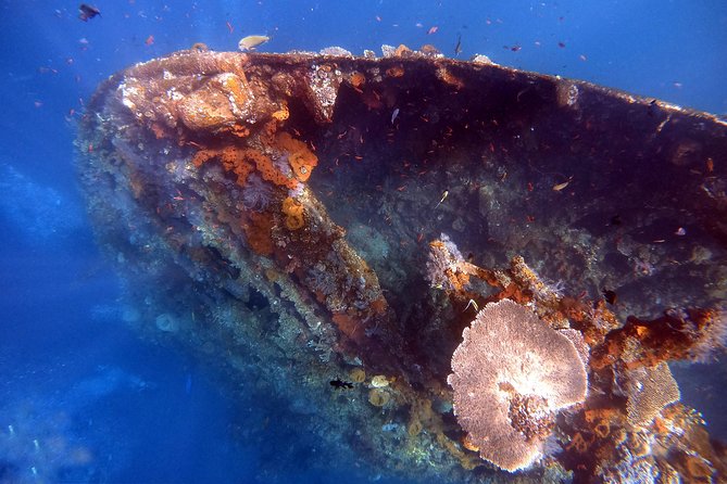 Discover Scuba Diving - Amed Start, Ubud Area Pick-Up, and an 8:00 am Rhythm