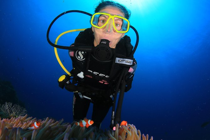 Discover Scuba Diving - Equipment, Refreshments, and Why the Price Can Make Sense