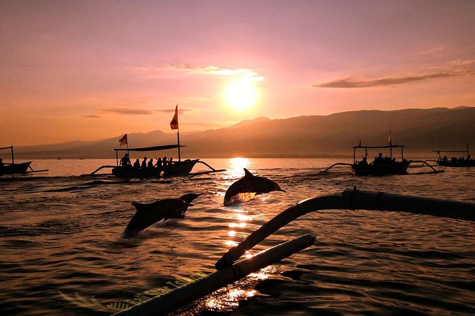 Dolphin Tour and Sunrise Watching in Lovina Beach - All Inclusive - Key Highlights Worth Booking
