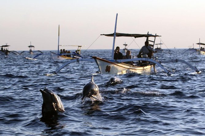 Dolphin Tour and Sunrise Watching in Lovina Beach - All Inclusive - Why Lovina for Dolphins Beats a Try-Your-Luck Day Trip