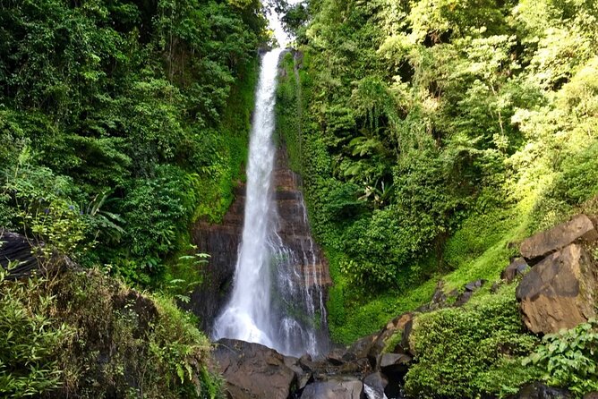 Dolphin Tour and Sunrise Watching in Lovina Beach - All Inclusive - Wanagiri Hidden Hills: The Swing Over Lake Buyan Photo Moment