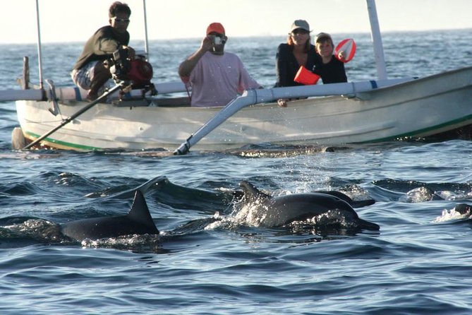 Dolphin Tour and Sunrise Watching in Lovina Beach - All Inclusive - Optional Upgrade: Waterfall and Temple Stops Without Losing the Schedule