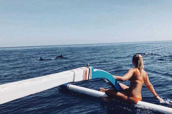 Dolphin Watching Tour, Swimming with Dolphins and Snorkeling - Key Highlights at a Glance