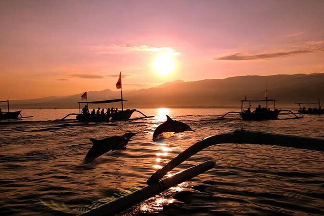 Dolphin Watching Tour, Swimming with Dolphins and Snorkeling - Getting From Ubud to Lovina Without Stress