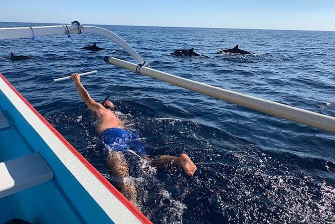 Dolphin Watching Tour, Swimming with Dolphins and Snorkeling - Practical Tips to Make Your Dolphin and Snorkel Day Smoother