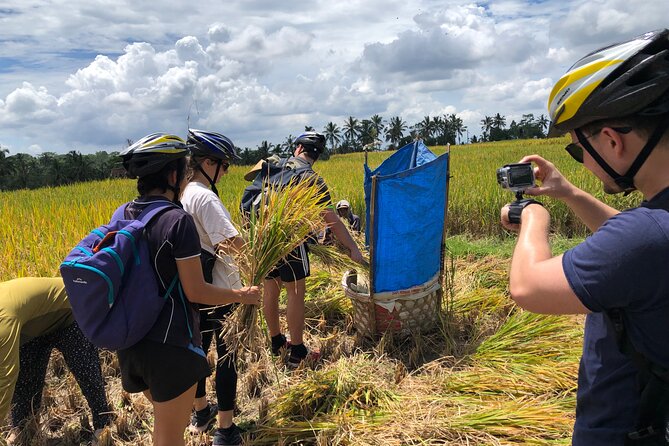 Downhill Cycling Ubud with Volcano, Rice Terrace and Educational - Group size, guide attention, and why max 12 matters
