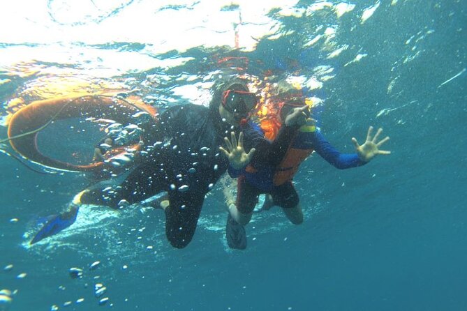 Early Bird Speedboat Group Tour : Explore Komodo Ahead of Crowds - Komodo Island Ranger Trek: When the Creatures Actually Matter