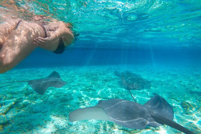 Early Morning Private Komodo Speedboat Tour - Taka Makassar and Manta Point Snorkeling, the Day’s Water Payoff