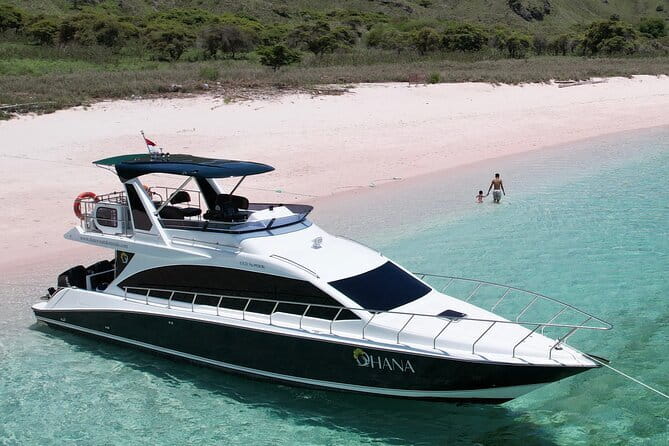 Early Morning Private Komodo Speedboat Tour - Lunch, Snacks, Towels, and What You Still Need to Pay