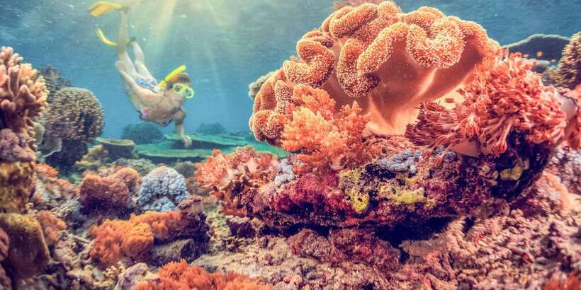 East Bali: Snorkeling Day Trip to Amed - Key Things That Make This Trip Worth Your Time