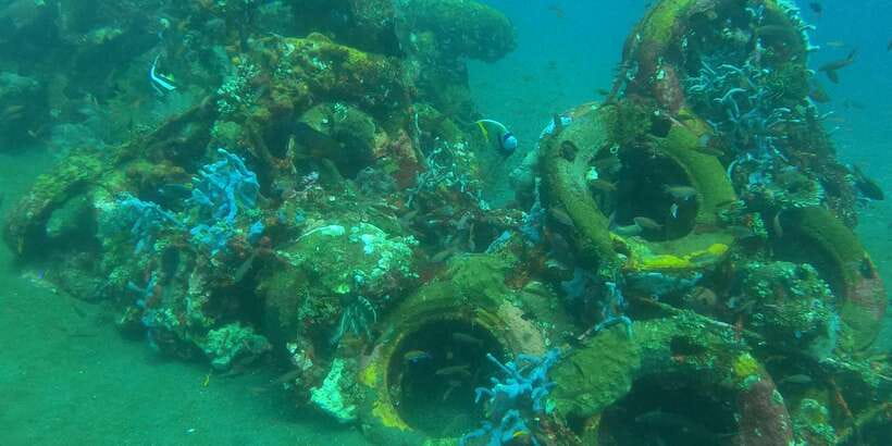 East Bali: Snorkeling Day Trip to Amed - Why Amed Snorkeling Feels Easy (Jemeluk Bay and Reef Fish)