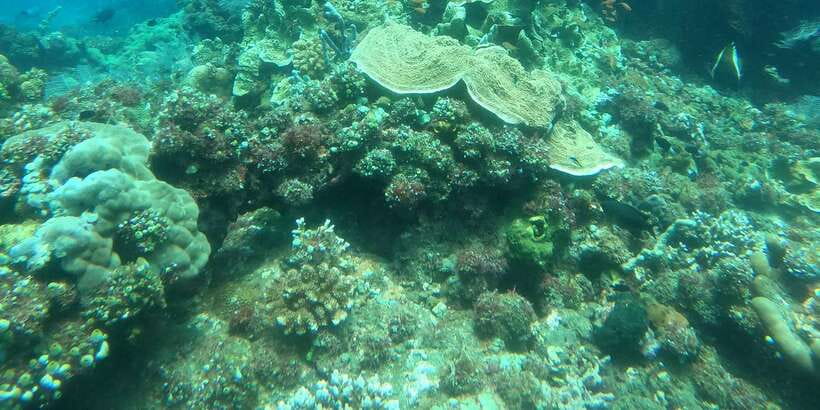 East Bali: Snorkeling Day Trip to Amed - Traditional Jukung Boat Ride