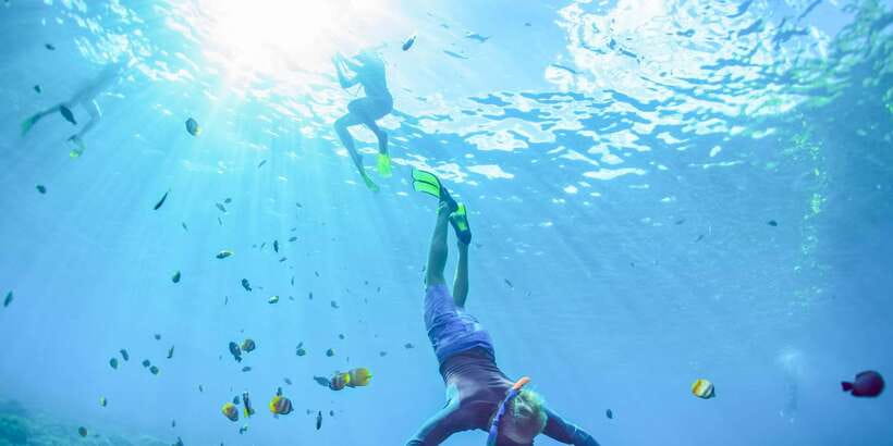 East Bali: Snorkeling Day Trip to Amed - Price and Logistics: The $80 Trade-Off