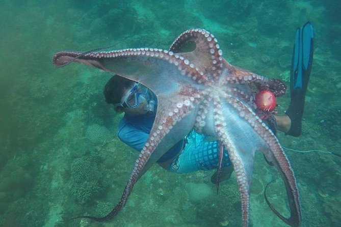 East Bali Spear Or Line Fishing Tour At Virgin Beach - Key highlights worth planning for
